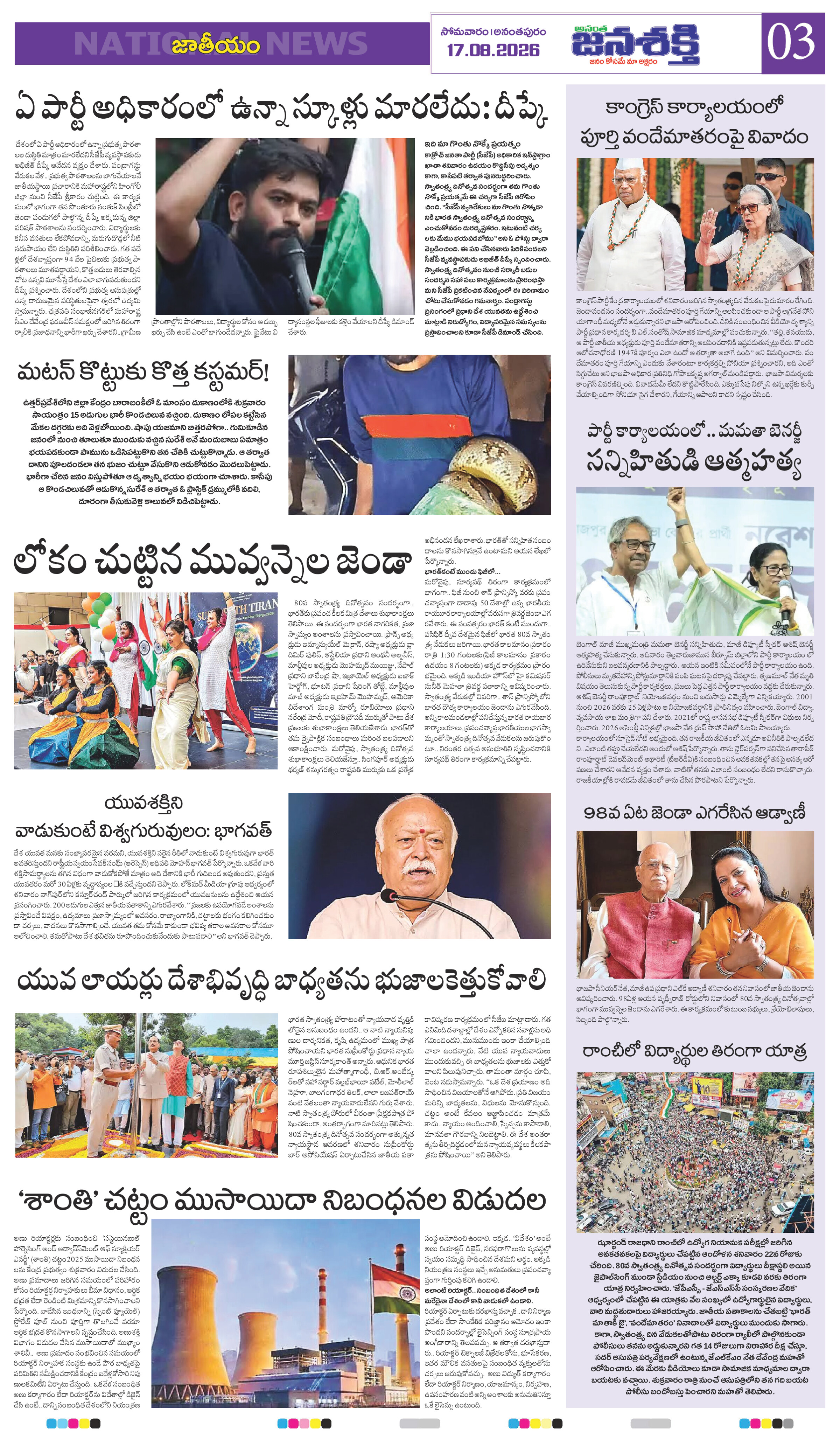 Page 3 thumbnail